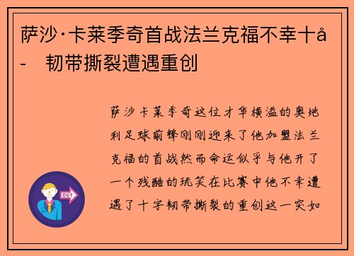 萨沙·卡莱季奇首战法兰克福不幸十字韧带撕裂遭遇重创